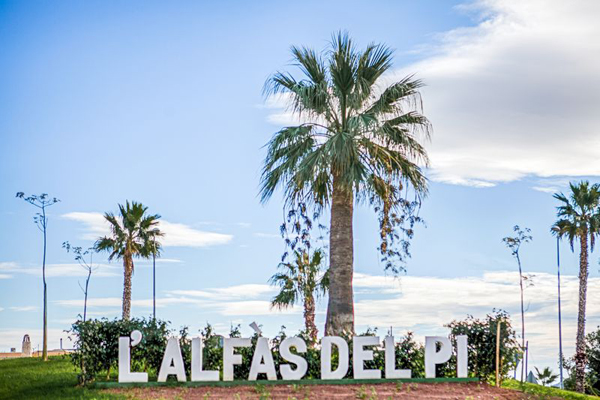 Search Local - Alfaz del Pi