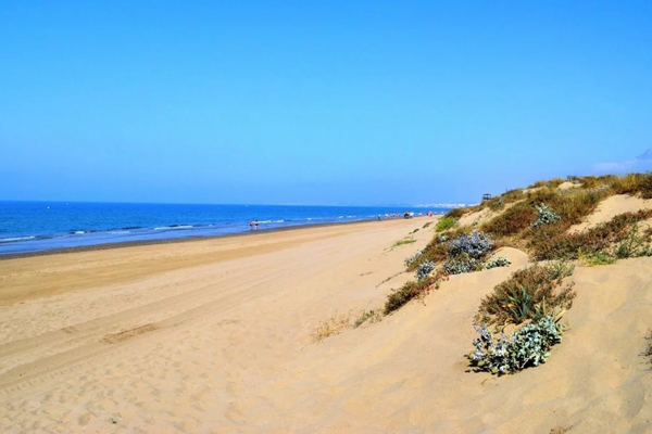 Search Local - Elviria